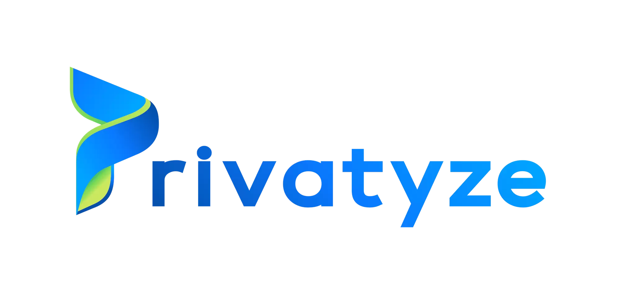 Privatyze Logo